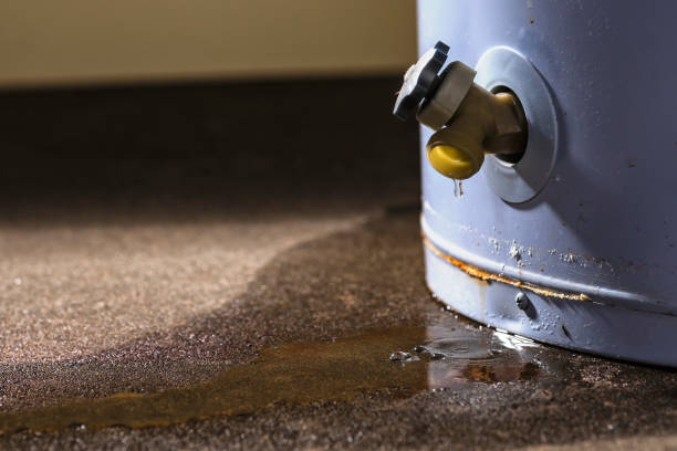 Best Sewage cleanup and water damage restoration  in Welby, CO