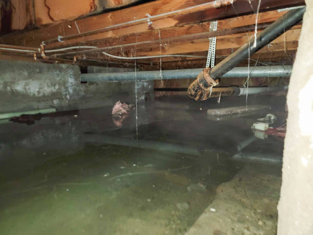 Sewage cleanup and water damage restoration in CO