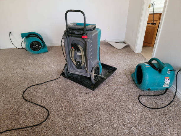 Best Basement water damage restoration  in Welby, CO