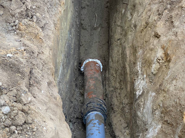 Best Basement water damage restoration  in Welby, CO