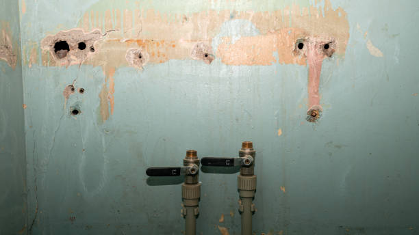 Best 24/7 water damage repair  in Welby, CO
