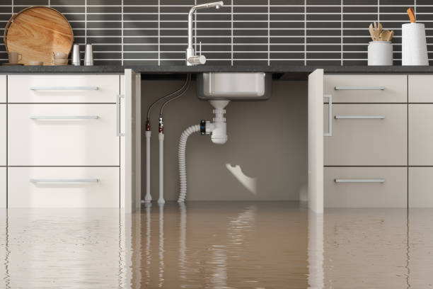 Best Flood damage cleanup  in Welby, CO