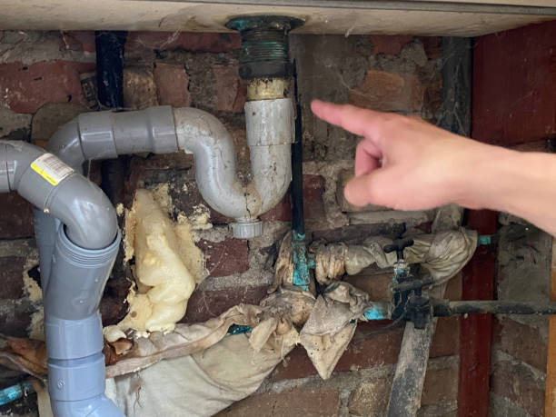 Best 24-hour water damage restoration  in Welby, CO